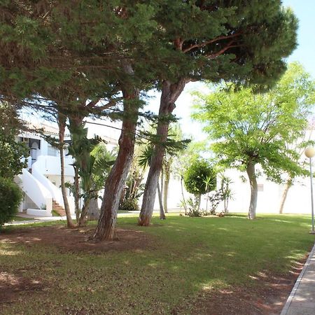 La Mandragora Διαμέρισμα Chiclana de la Frontera Εξωτερικό φωτογραφία